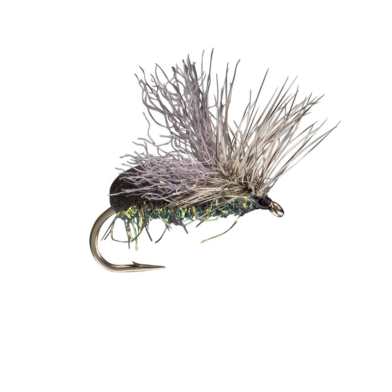 RIO Products King’s Splitsville Beetle