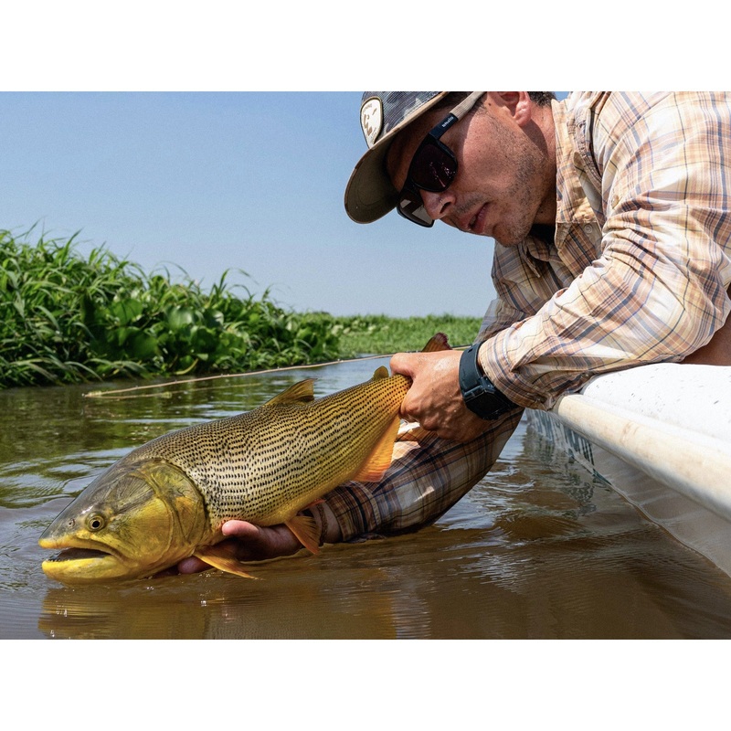 Set Fly Fishing Golden Dorado in Argentina (Thursday, Oct 9th)
