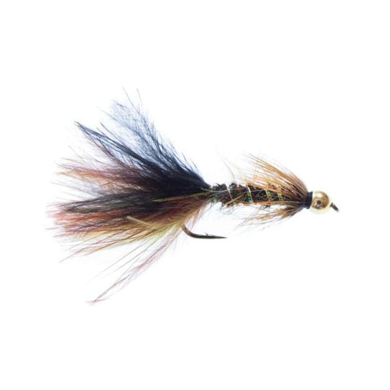 Twin Lake Special|8|10|12