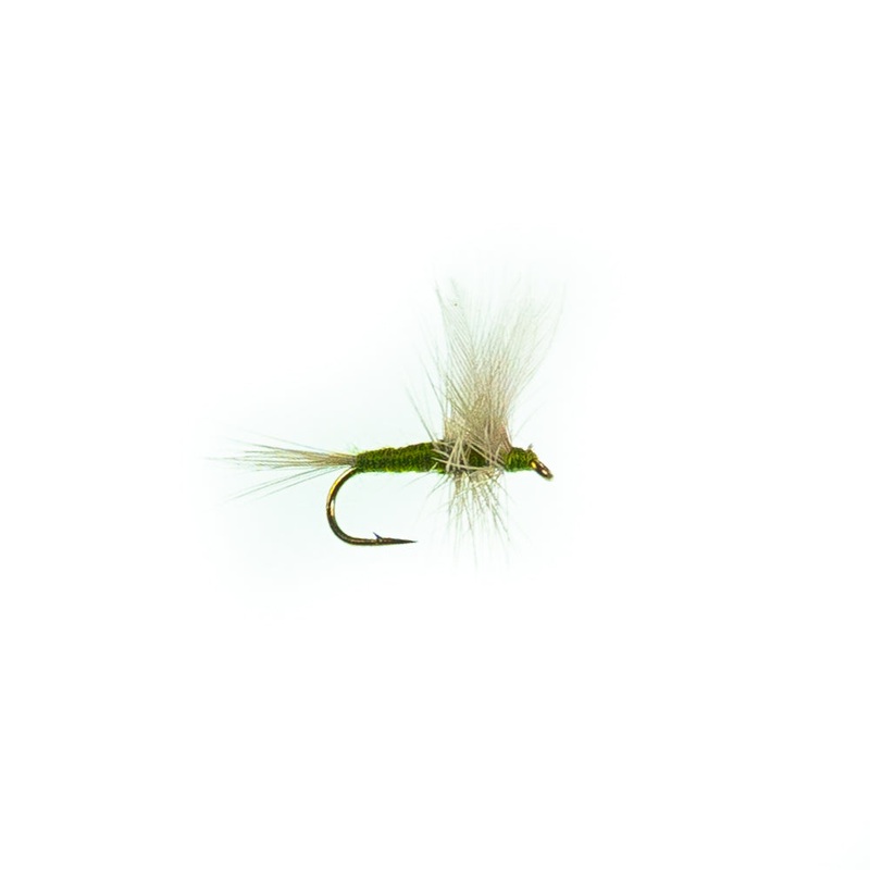 Blue Wing Olive|16|18