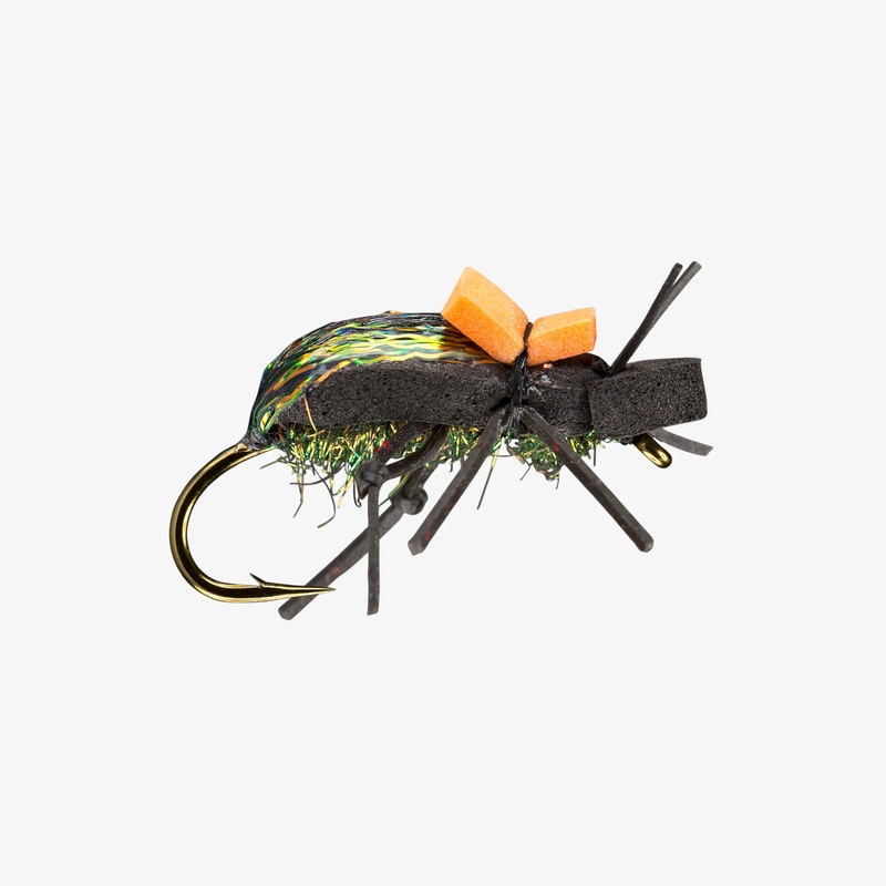 Ground Beetle|10