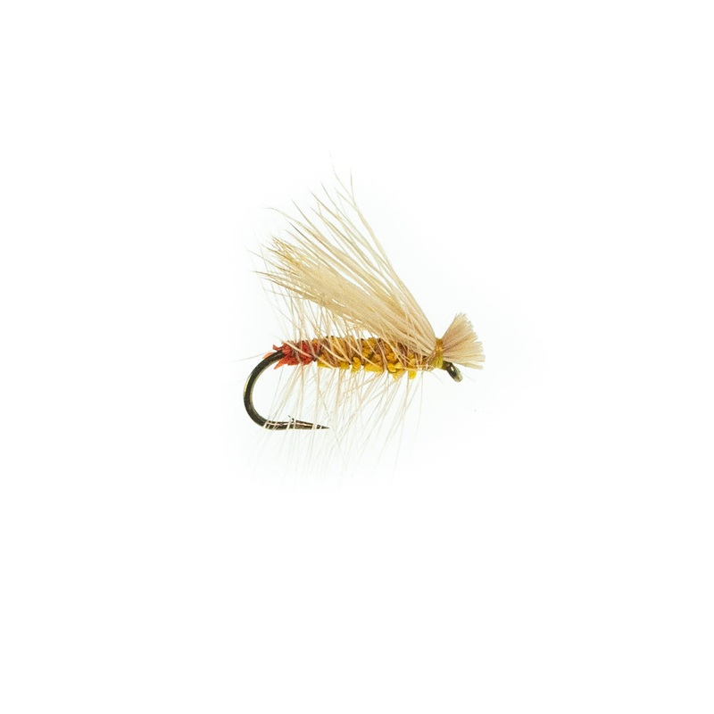 Little Yellow Stonefly|14