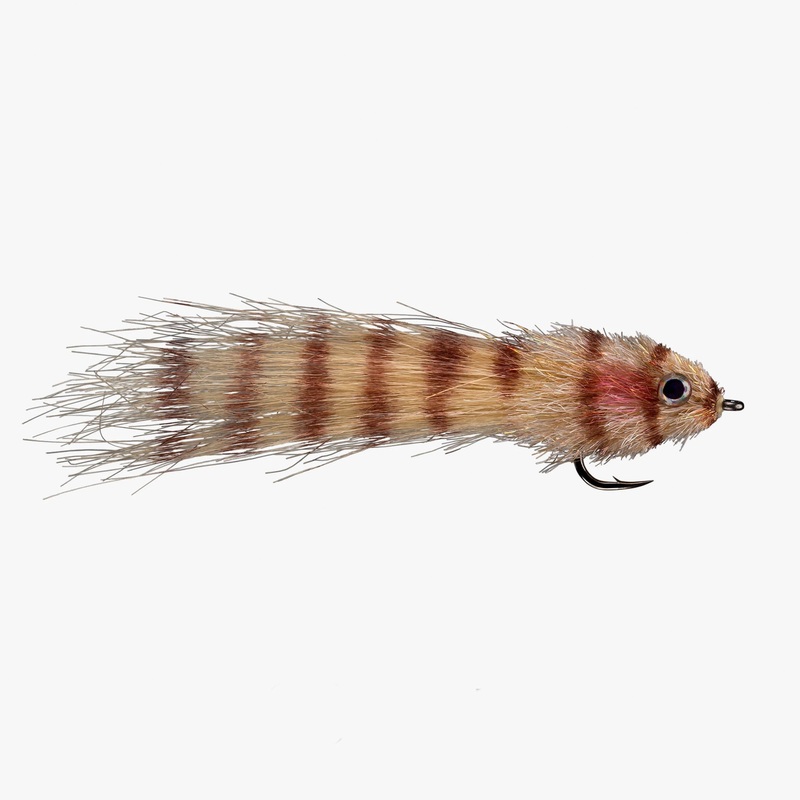 Rio’s Kinky King Backcountry|Sz 1|Tan