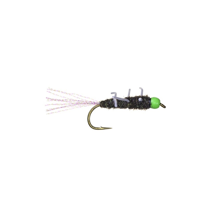 TDF Peacock Girdle Bug|6|8