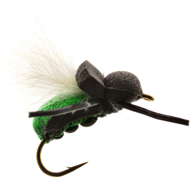 Tim’s Beetle Green