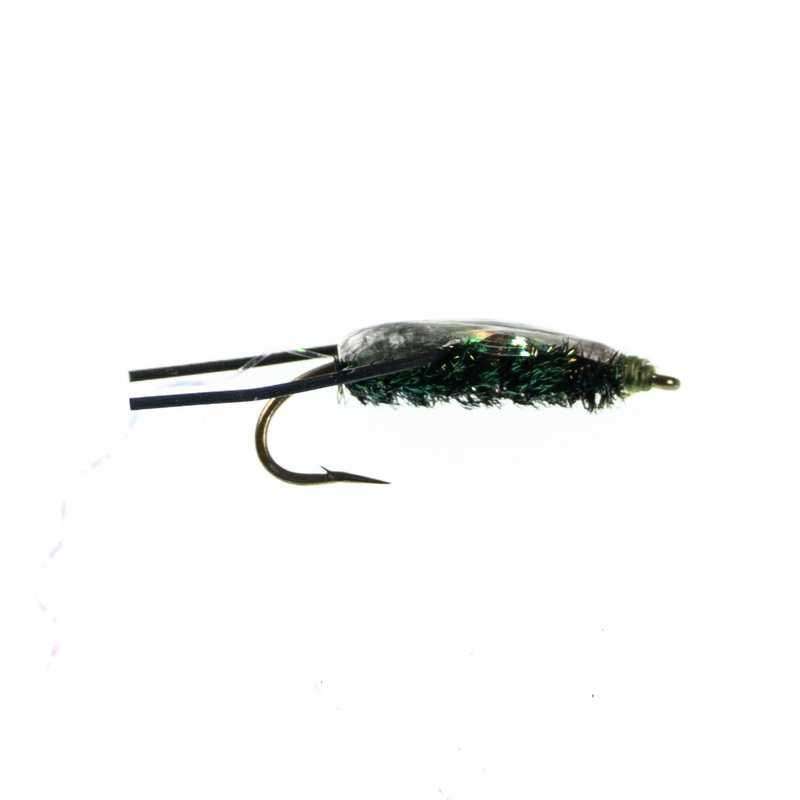 Water Boatmen|12