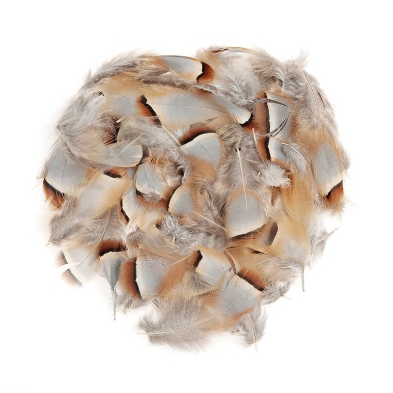 Wapsi Chukar Feathers