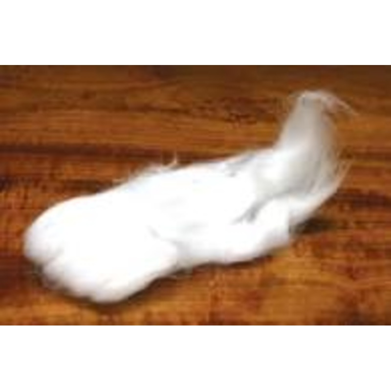 Wapsi Egg Veil