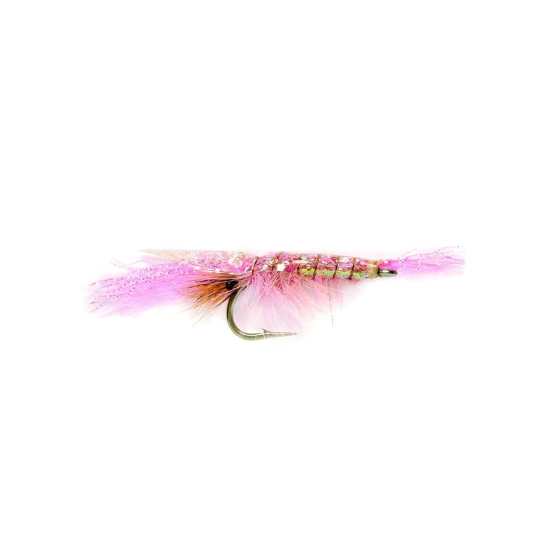 Flashback Shrimp Pink Flies|4