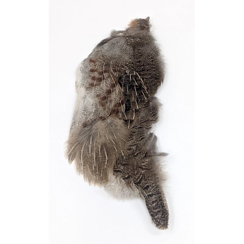 Wapsi Hungarian Partridge Half Skin