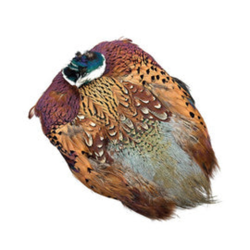 Wapsi Ringneck Pheasant Skin, Natural, Cock