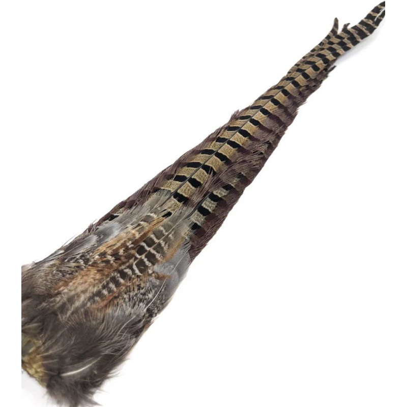 Wapsi Ringneck Pheasant Tail Clumps, Natural, Hen