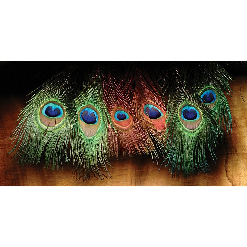 Hareline Peacock Eyed Sticks|Black|Red|Natural