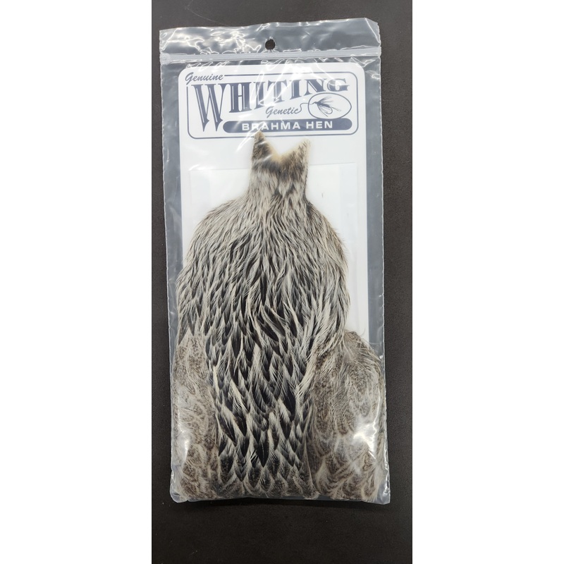Whiting Brahma Hen Cape|Cream Badger