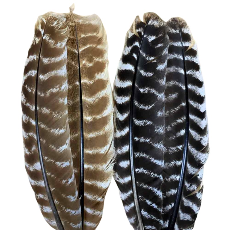 Wapsi Ozark Turkey Quill|Natural|Black