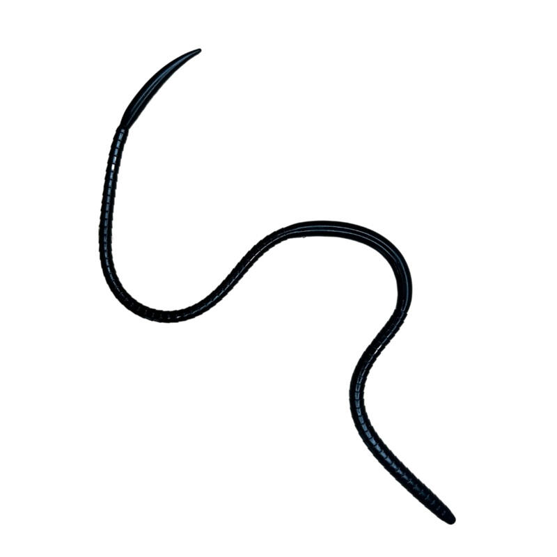 Evergreen 12 Bow Worm Noodle|12″ (8 Pack)|Solid Black