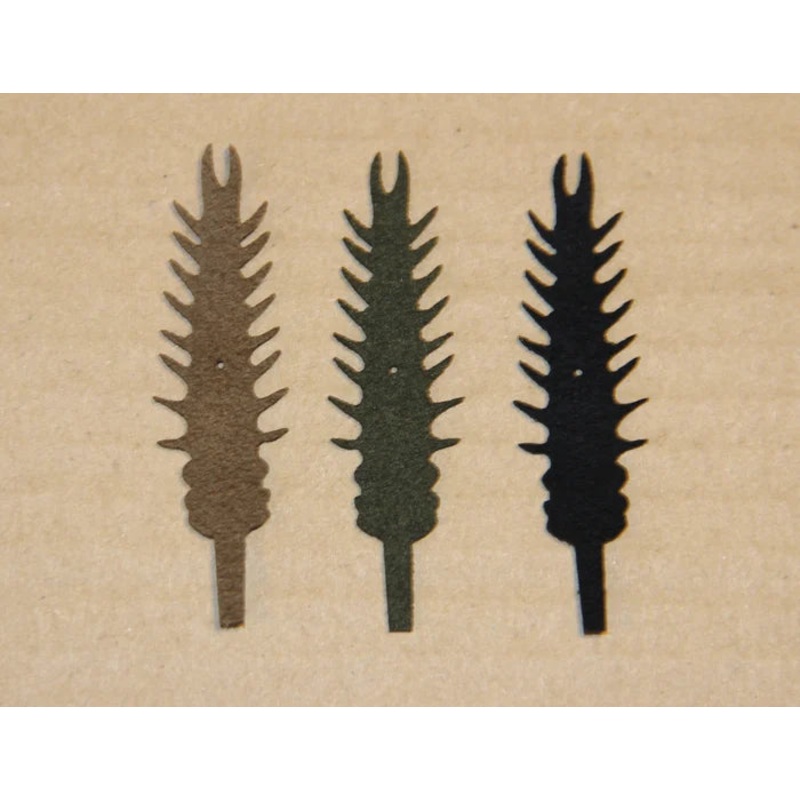 Eastern Trophy Tails-Crittermite