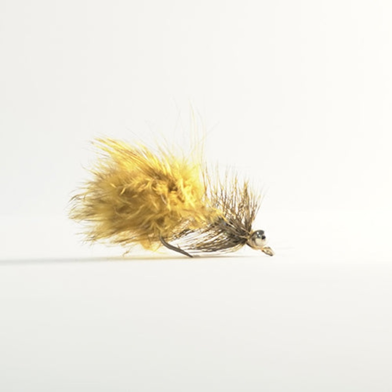 Oliv Magnus # 6