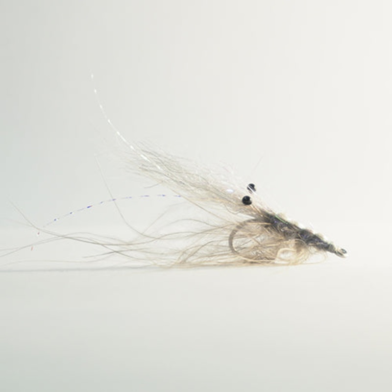 Pattegrisen Grey – Ghost Shrimp #4