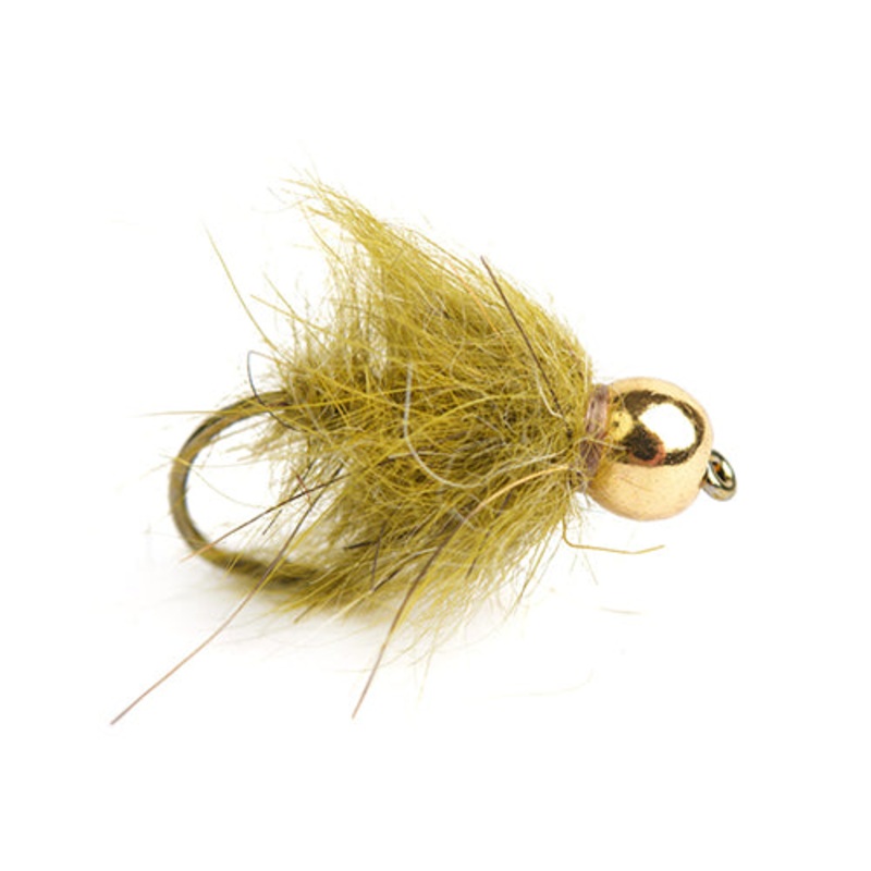 GH Harra Oliv – storlek 10