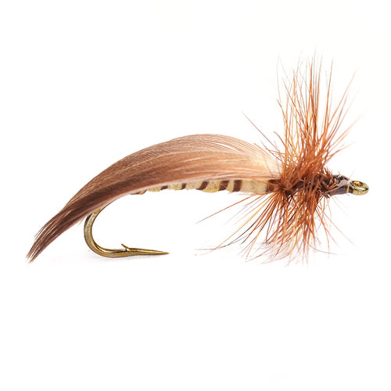 Grnlunds Special – Storlek 10