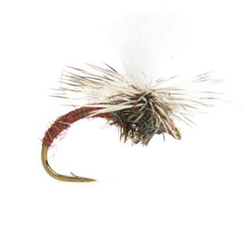 Klinkhammer Brown – Storlek 14