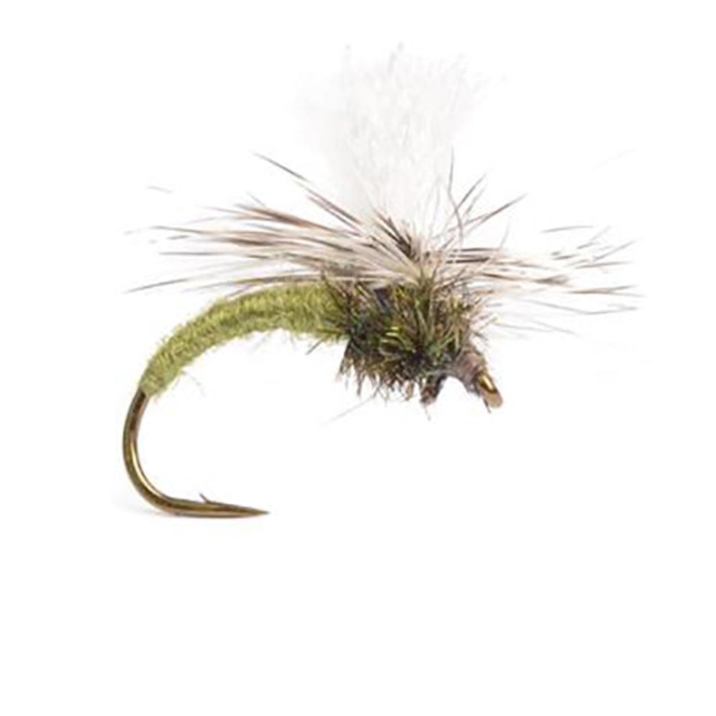 Klinkhammer Olive – Storlek 12