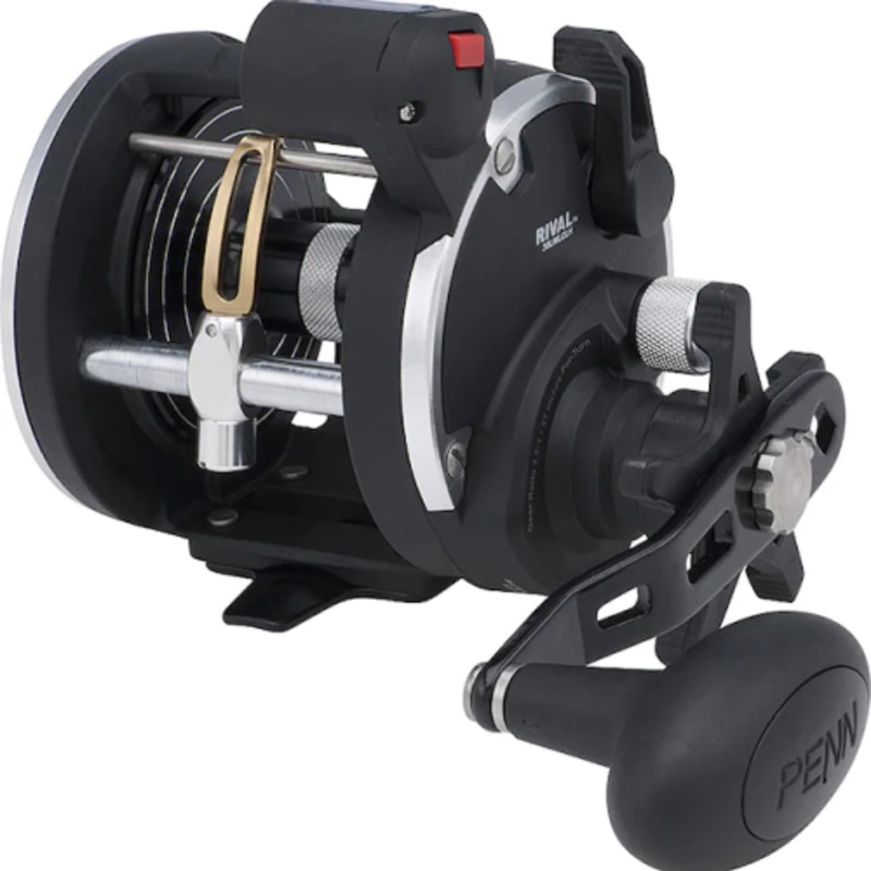 Penn Rival 20 LW LC