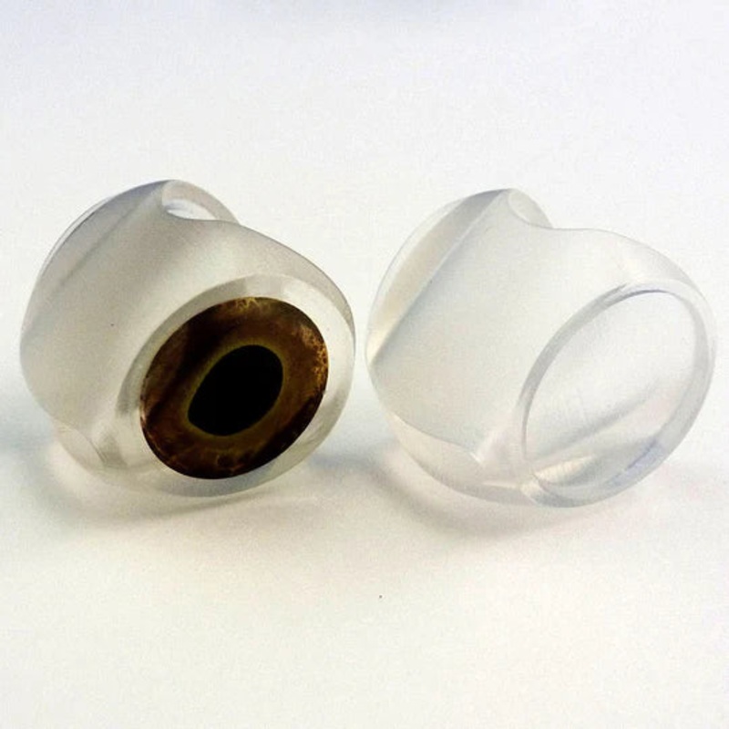 Fish Skull – Fish Mask||7||8.5||10