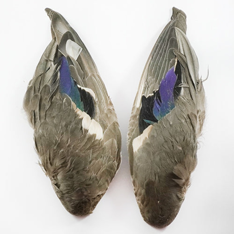 Flydressing – 2-pack Ankvinge – Fjdrar