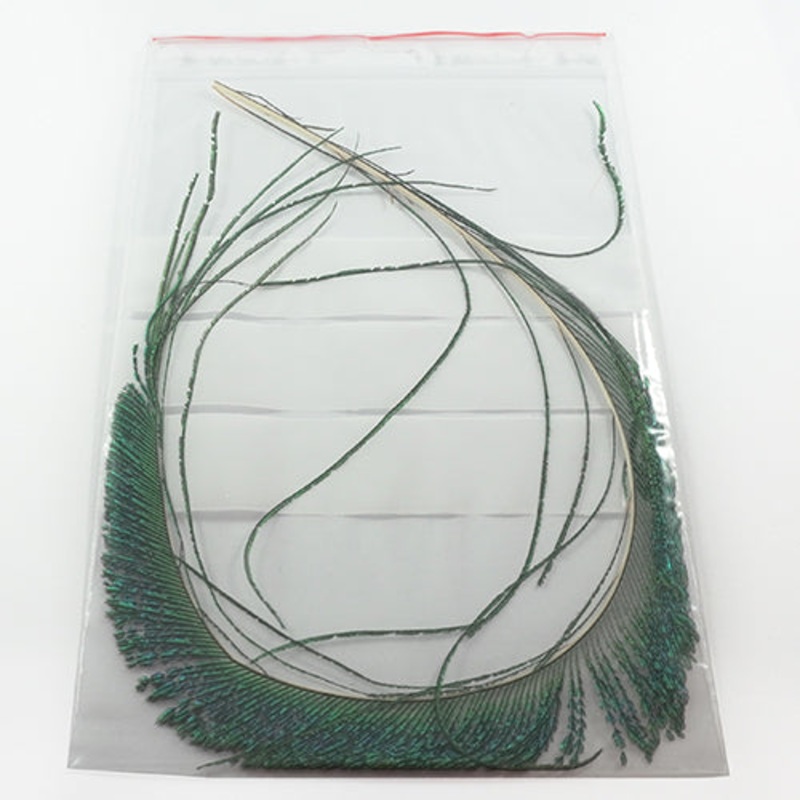 Pfgelfjder Hel – Fjdrar