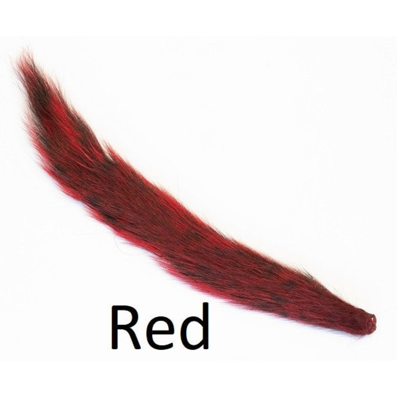 Veniard – Ekorre Gr Amerikansk Frgad – Hr Flugbindning – Rd