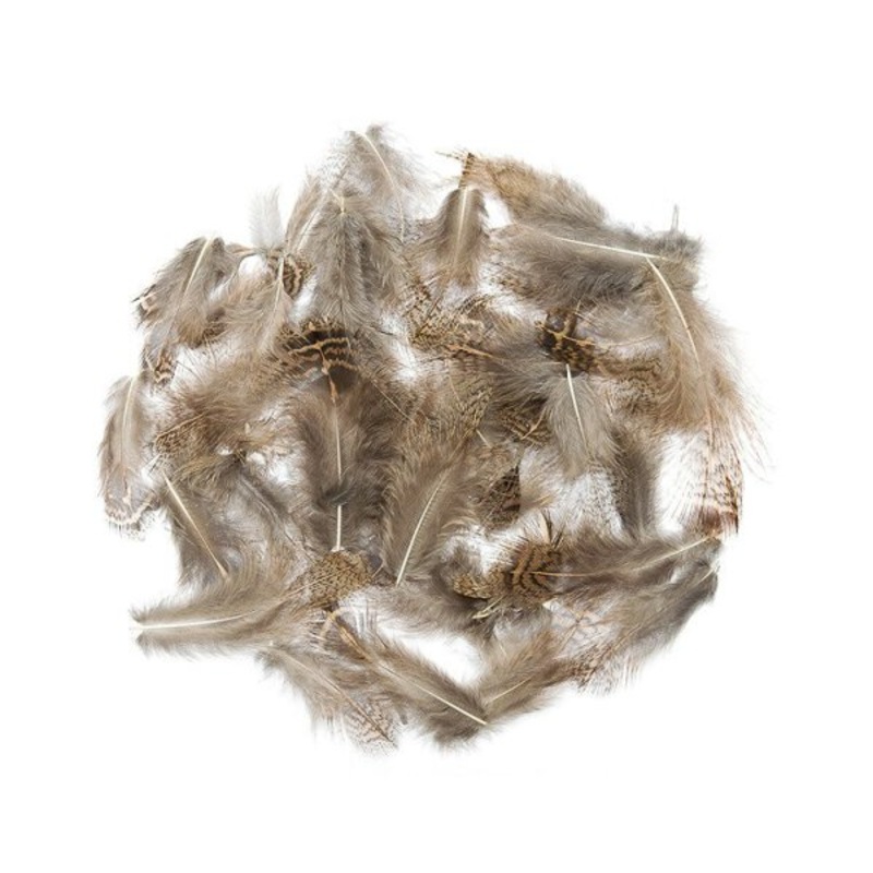 Veniard – Rapphna (Partridge) – Fjdrar – Gr Brstfjder