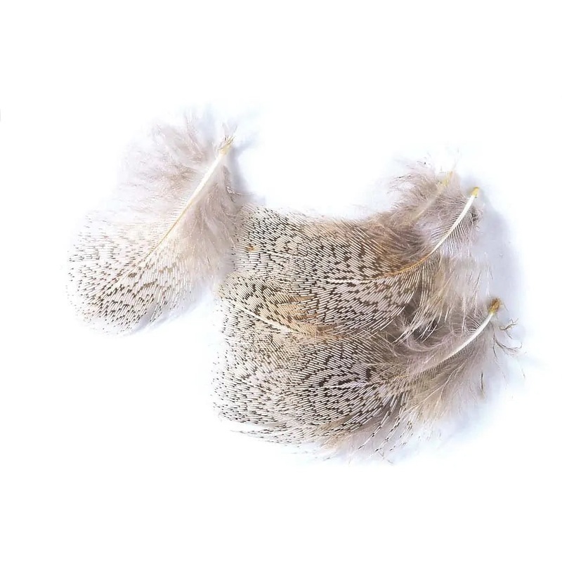 Veniard – Rapphna (Partridge) – Fjdrar – Nackfjdrar