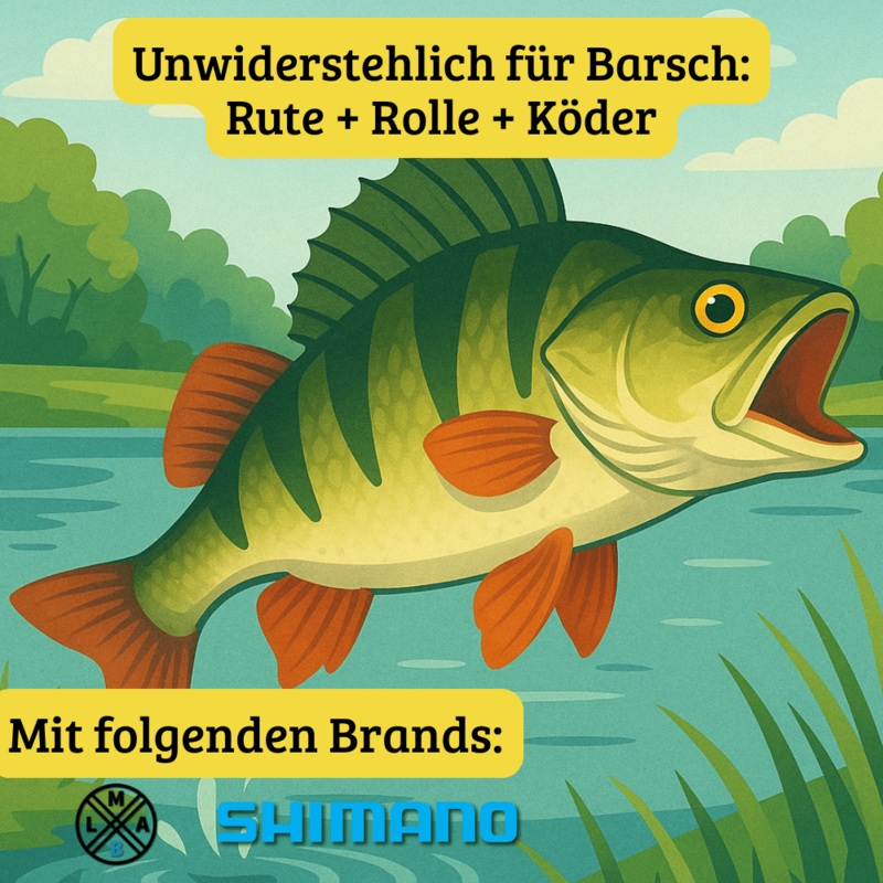 Barsch Komplettset | Spar-Bundle