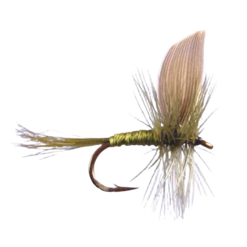 Blue Wing Olive|12|14|16|18