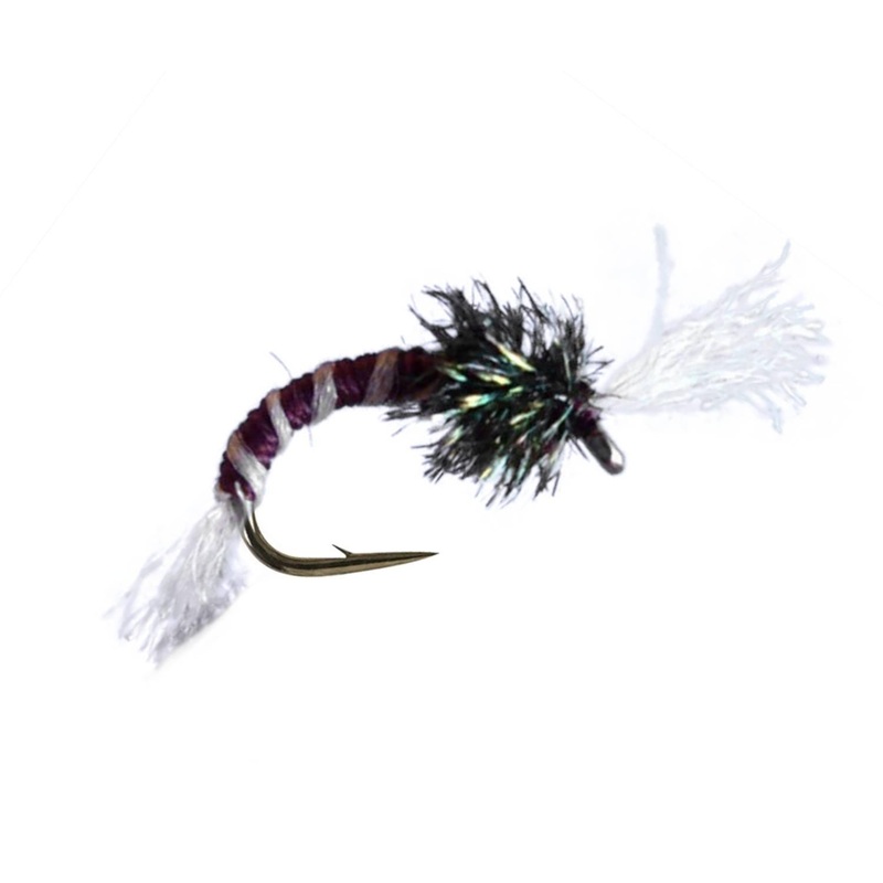 Claret Buzzer|18|20