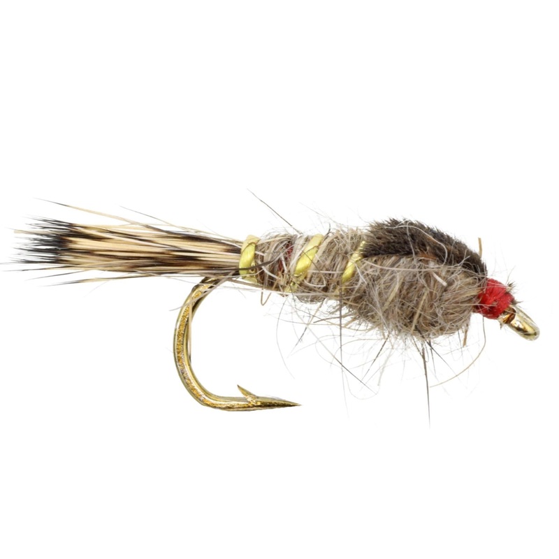 Hares Ear Gold Ribbed Red|12|14|16