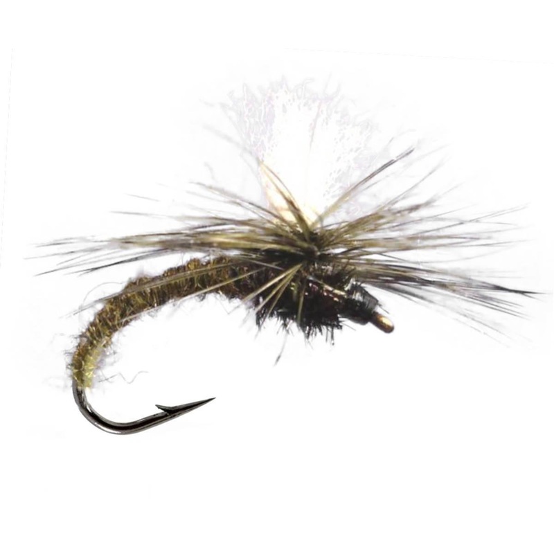 Klinkhammer Olive|12|14|16