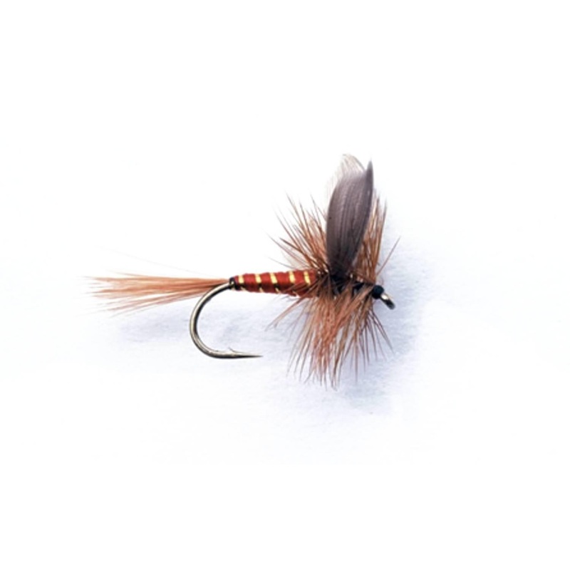 Rd Spinner|12