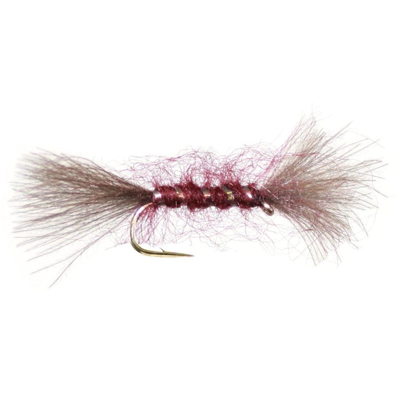 CDC Emerger Torr Claret|12