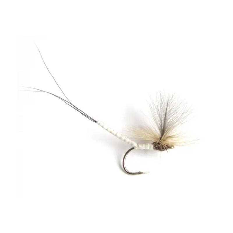 Danica Spinner|8|10
