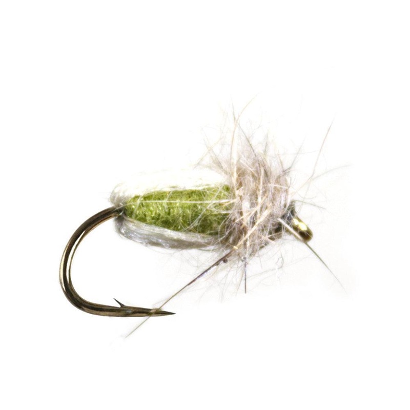 Deep Sparkle Pupa (DSP)|12|14