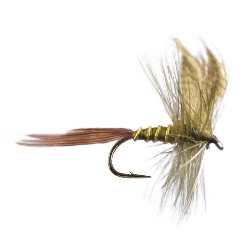 Mayfly Olive Drake|8|10|12