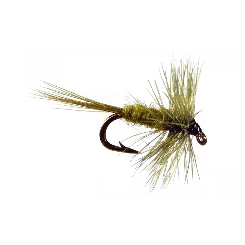 Olive Midge|16|18|20