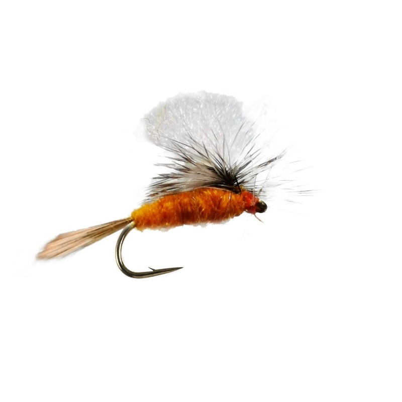 Parachute Aurivilli Dun|12
