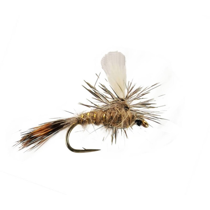 Parachute Gold Ribbed Hares Ear
