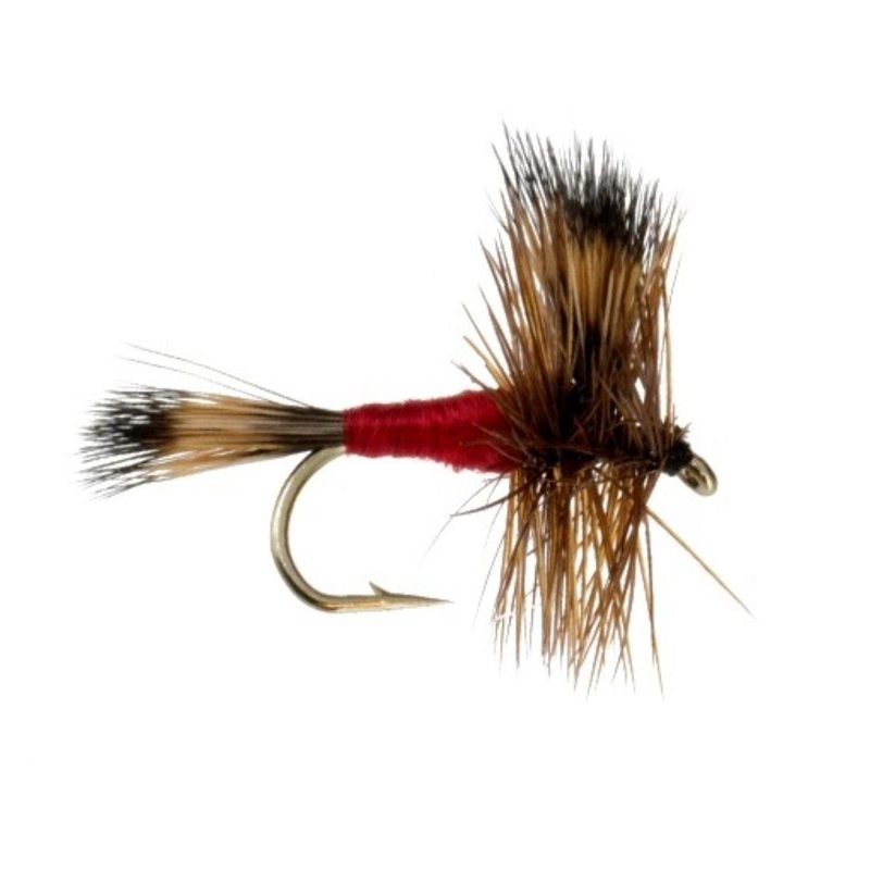Rd Wulff|12