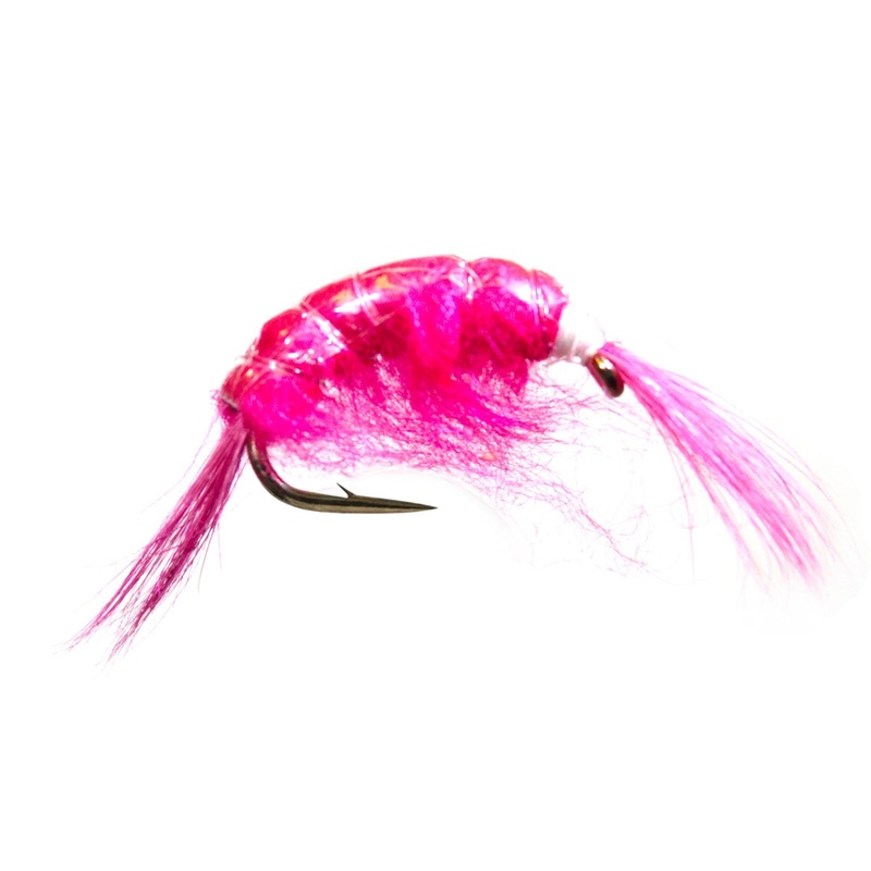 Tnglss Mysis Rosa|8