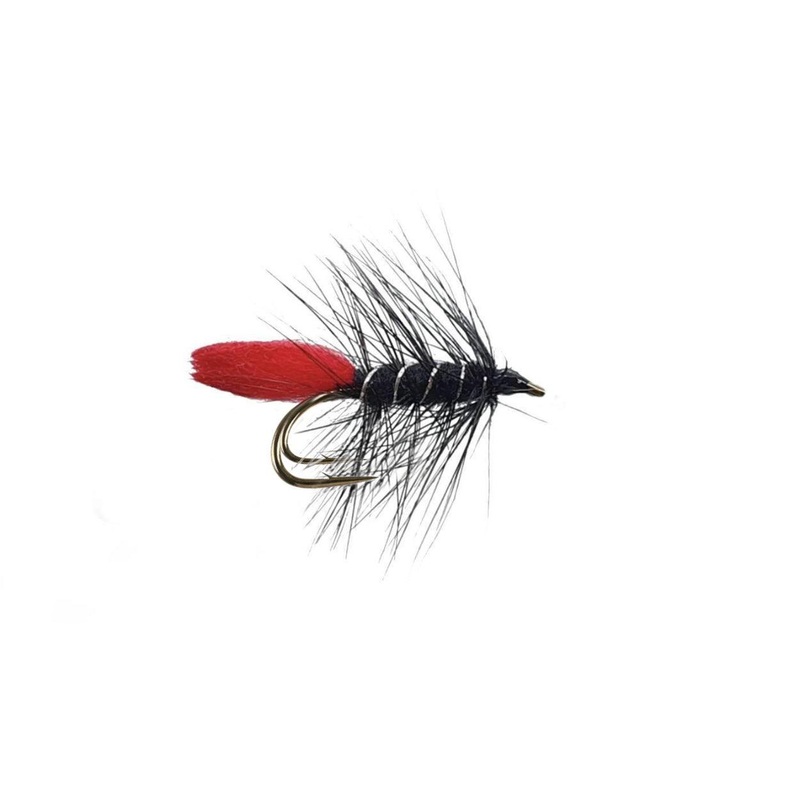 Black Zulu DH|8|10